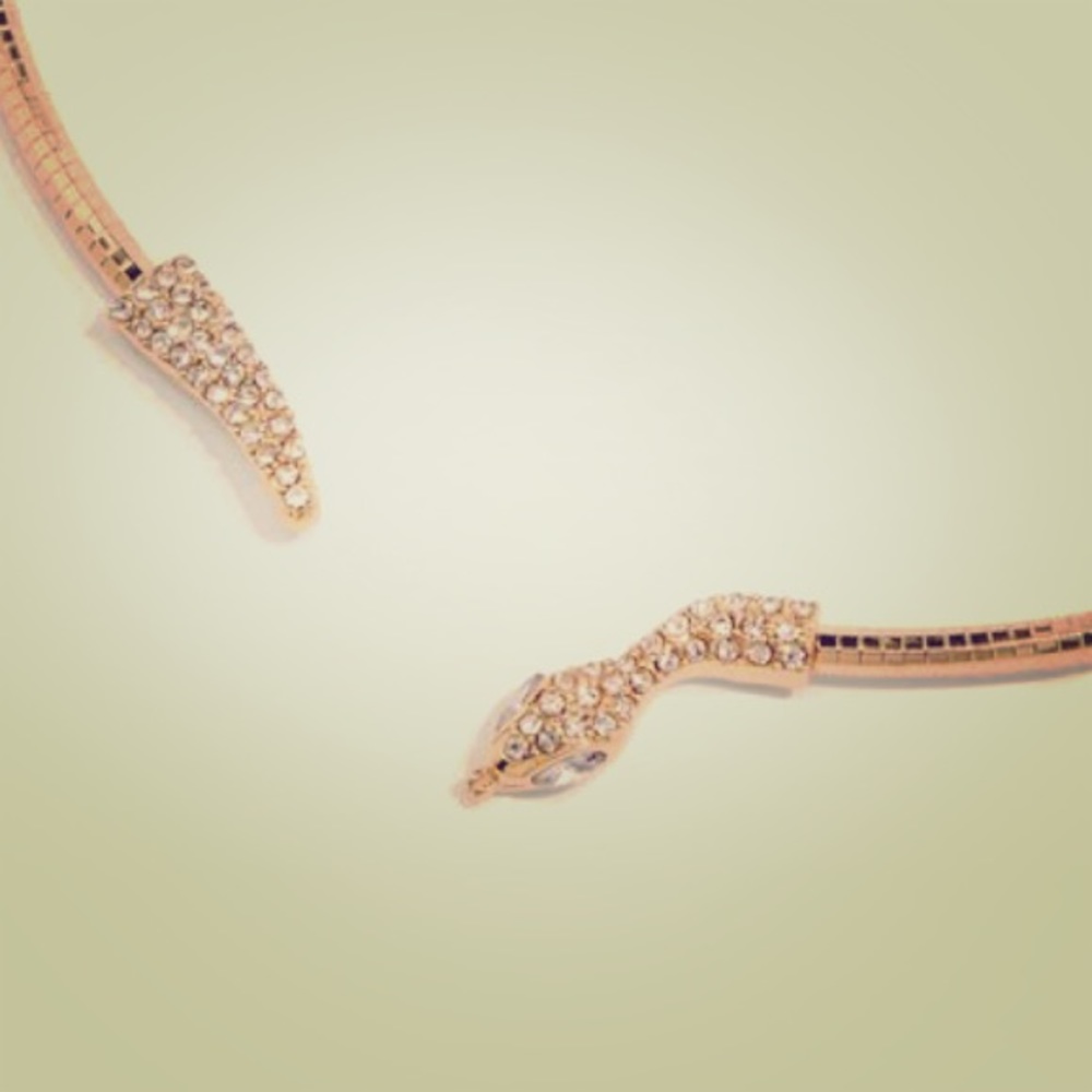 🦉SALE 3/$33 or 5/$50 Golden snake necklace choker